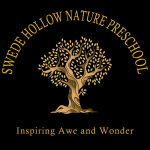 SHNP-logo